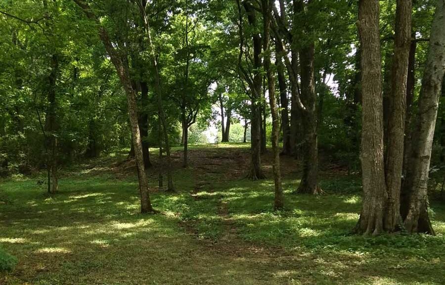 Hole 9 at Bud Hill disc golf course in Memphis, TN